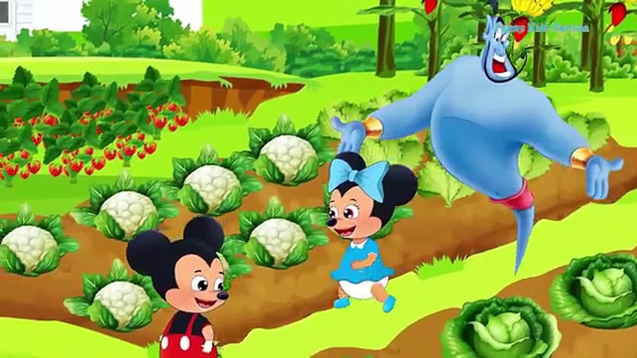 Cartoon Musique | Nous vous souhaitons un joyeux Noël | Teppy et Maddy ensemble poussent le chou géant