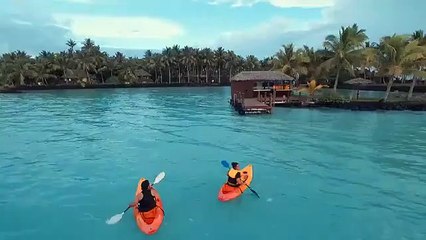 On the water, in the water, above the waterline, admiring waterfalls, sliding down rockslides, skimming the reefs, voyaging the seas or ordering another poolsid