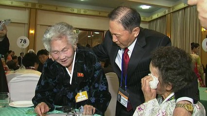 금강산에서 남북적십자 회담...8.15 이산상봉 성사되나 / YTN