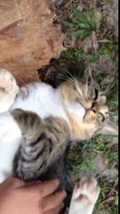 월드카지노 【 FAFA82。CoM 】 테이블게임