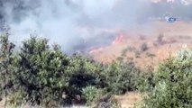 Kahramanmaraş’ta yangın...50 dekarlık mera arazisi ve buğday tarlası böyle yandı