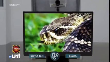 Panic Button US S01  E11 The Mother of All Fears