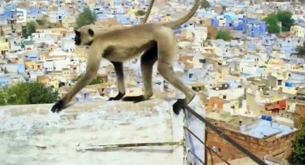 Planete Terre d Les Villes HDTV  264 mkv  Part 01