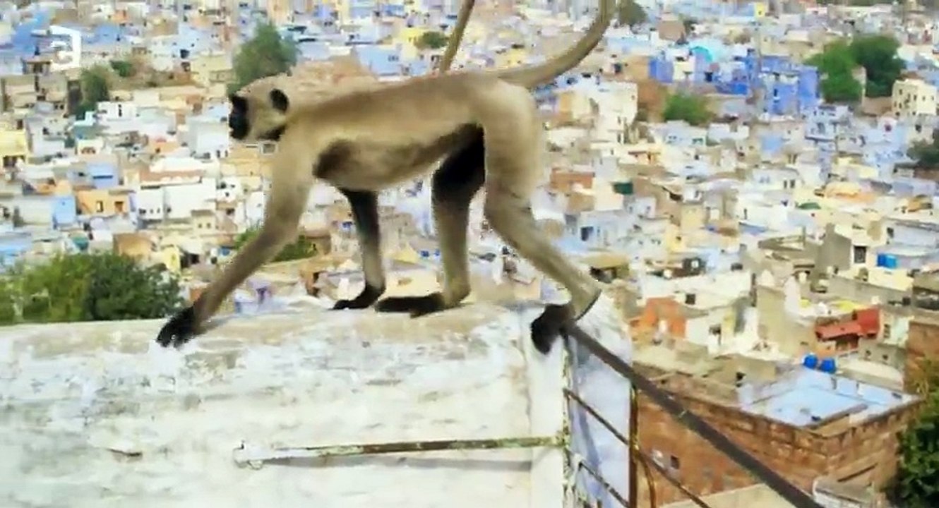 Planete Terre d Les Villes HDTV  264 mkv  Part 01