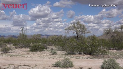 6-Year-Old Migrant Boy Found Abandoned In Arizona Desert