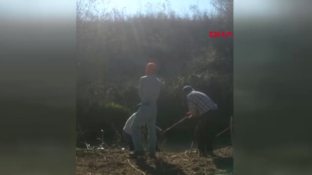 Osmaniye Sulama Kanalına Düşen Eşek Kurtarıldı