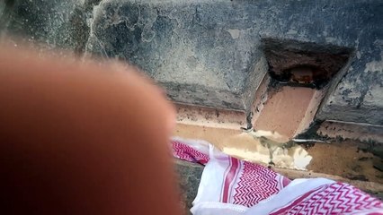 اصعب حالة انقاذ مرت في حياتي !! قطة المجاري
