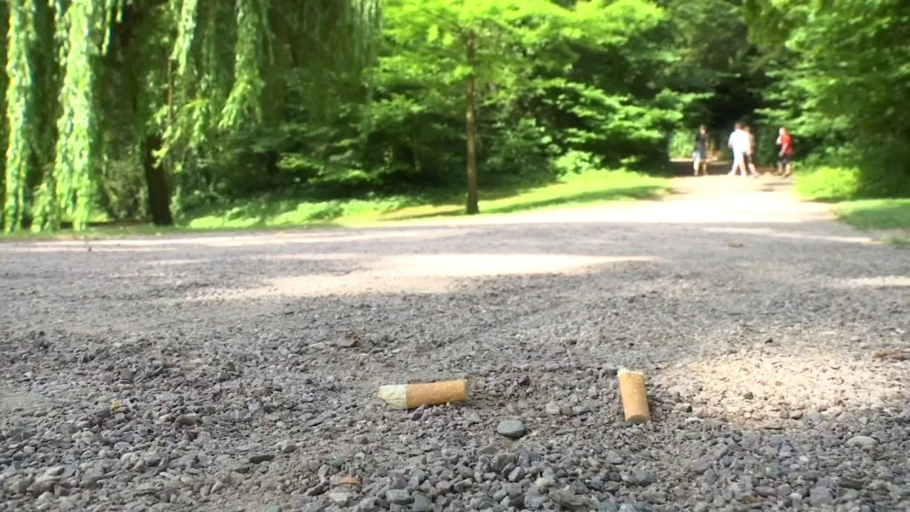 Strasbourg: la cigarette bientôt interdite dans...
