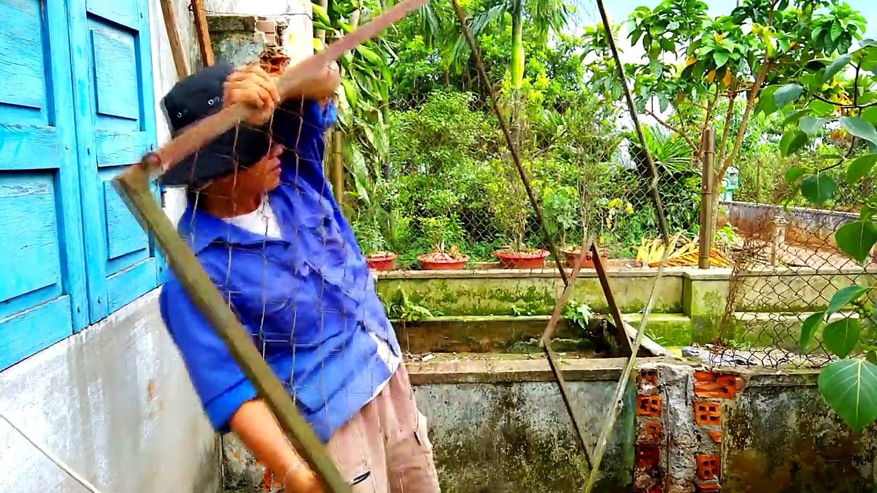 Di dời cá sấu đến nơi ở mới, đuổi cá sấu ra khỏi chuồng không đơn giản như mình nghĩ