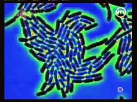 Les enquêtes impossibles part 1 - bacterie mortelle / pierre bellemare