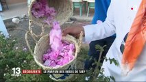 Arabie saoudite : à la découverte des roses de Taef