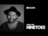Defected Radio Show: Guest Mix by Ninetoes - 19.05.17