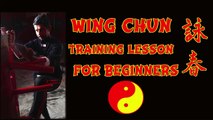 wing chun techniques The Basic Vertical Fist Punch  (straight punch) in [Hindi - हिन्दी]