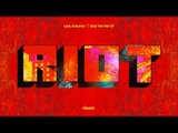 Luke Solomon 'Stop The Riot' (Shit Robot Remix)