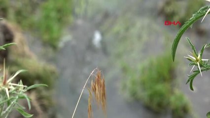 Ağrı Avrupa'nın En İyi Arama Birliği, 8'inci Günde Leyla'yı Aradı