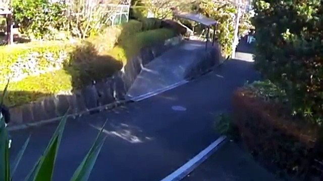 EDR November #26 2017 8080 9999