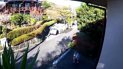 EDR November #29 2017 Gardener Sound In The Neighborhood
