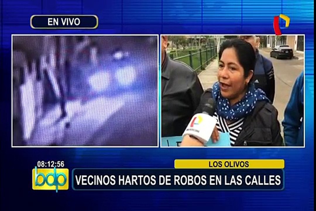 Los Olivos: vecinos cansados por constantes asaltos y robos