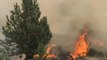Wildfire Burns Through 2,000 Acres in Central Oregon