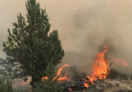 Wildfire Burns Through 2,000 Acres in Central Oregon