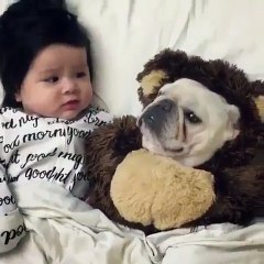 little dog sleeping next to baby