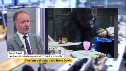 Bruno David : "On est en train de provoquer une 6e extinction massive des organismes vivants"
