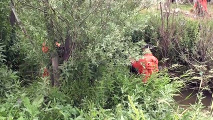 Ağrı'da kaybolan küçük kız 8'inci günde de bulunamadı