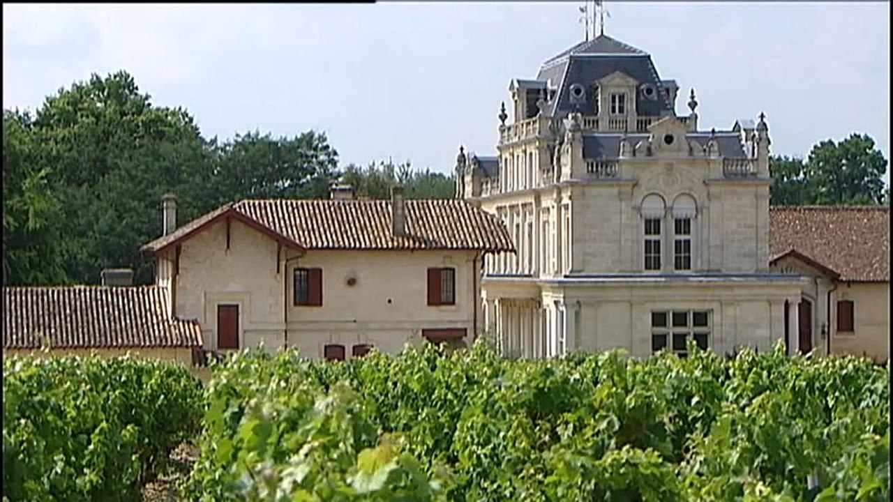 Zu viel Zucker: Weingut wegen Panscherei veruteilt