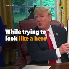 Does Trump's Executive Order Fix Anything?