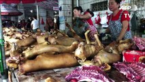 Perros en el menú del festival chino de carne canina