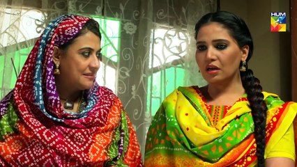 Zun Mureed Episode 17 HUM TV Drama