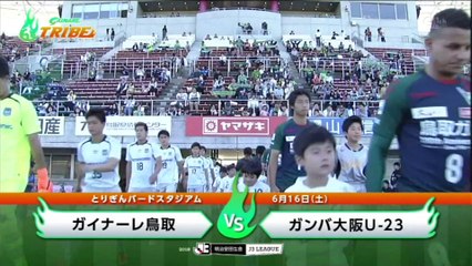 ガイナーレＴＲＩＢＥ