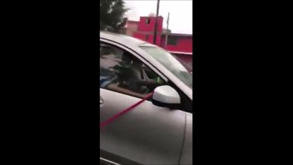 Un couple filmé en train de traîner son chien avec sa voiture attire la foudre des internautes