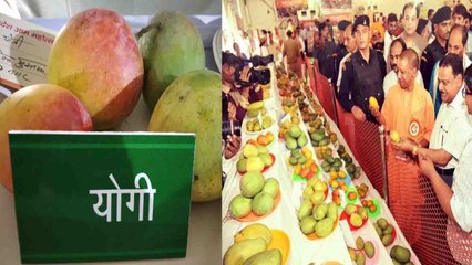 Yogi Adityanath जब मिले Yogi Mango से, चखकर देखा | वनइंडिया हिंदी