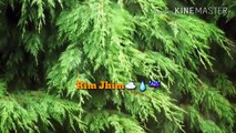 Rim_Jhim_Khaan_Saab_Rain_Whatsapp_Status_Video..