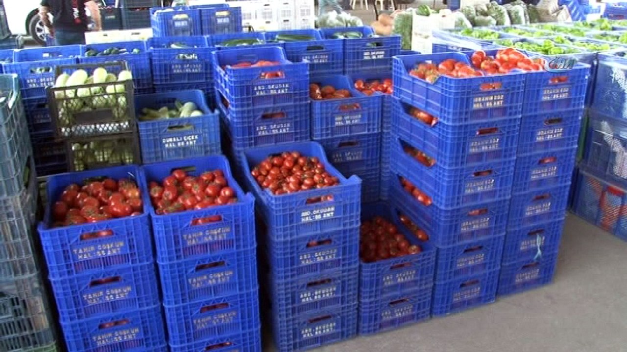 Antalya’da domates fiyatları yüzde 400 arttı...‘Tuta’ domates fiyatlarına tavan yaptırdı