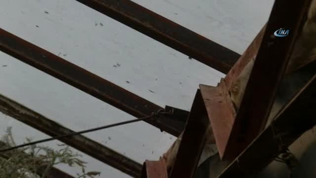 Antalya'da Domates Fiyatları Yüzde 400 Arttı...'tuta' Domates Fiyatlarına Tavan Yaptırdı