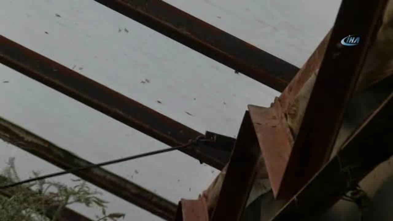 Antalya'da Domates Fiyatları Yüzde 400 Arttı...'tuta' Domates Fiyatlarına Tavan Yaptırdı