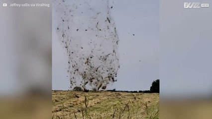 La majestuosité d'une tornade filmée au ralenti