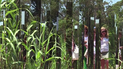 L'art contemporain, pieds nus sur l'île de Porquerolles