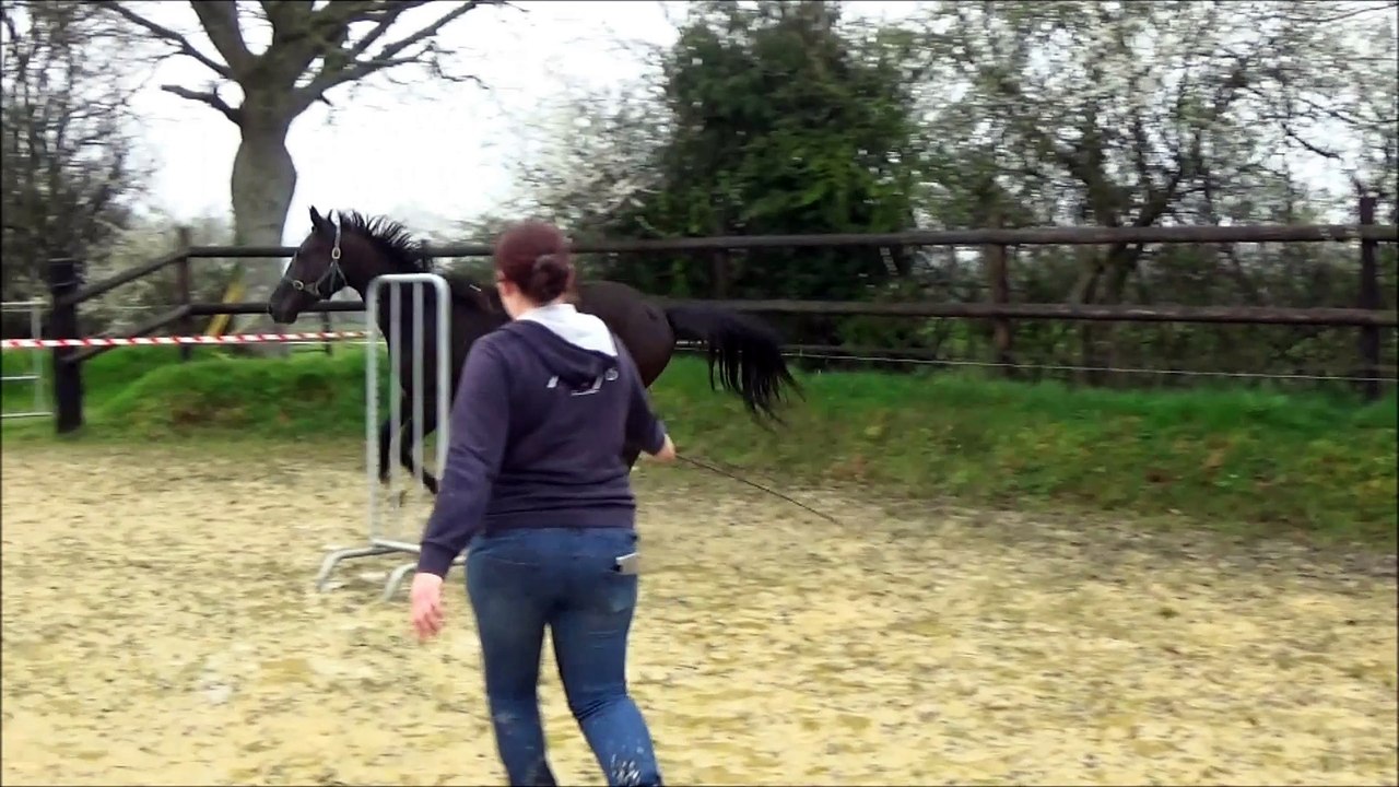 Galaksye des Edènes 2 ans découverte saut