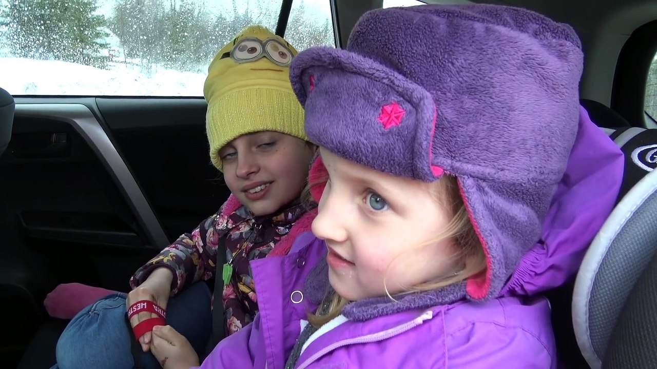 QUÉBEC J3 • Des chatons trop mignons et des vaches trop parfumées !!  ) - Studio Bubble Tea