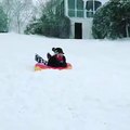 Faceplant d'une fille en bouée sur la neige