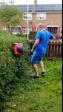 Tailler la haie avec une tondeuse