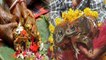 Frog Wedding: बारिश के लिए Superstition के चलते कराई मेंढक-मेंढकी की marriage । वनइंडिया हिंदी