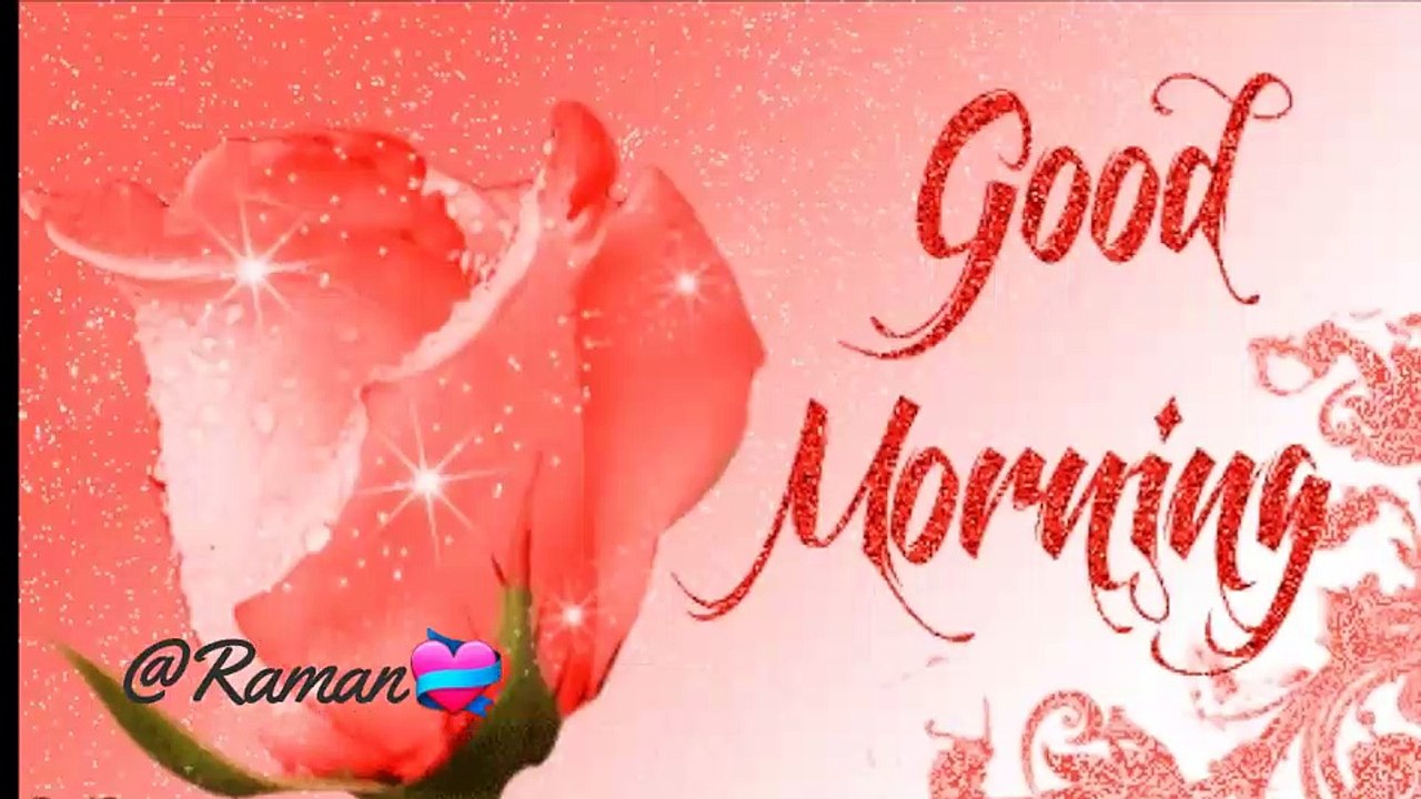 Good morning  video