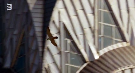 Planete Terre d Les Villes HDTV  264 mkv  Part 03