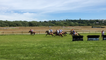 Course de poney sur l’hippodrome de Bréville - Longueville