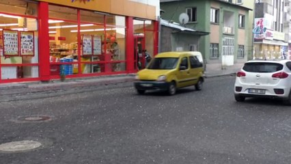 Dolu yağışı Ağrı’yı beyaza bürüdü