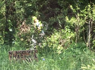 Akcija "Čistije reke, zdravija sela" drugi put u Brestovcu, 23. jun 2018. (RTV Bor)